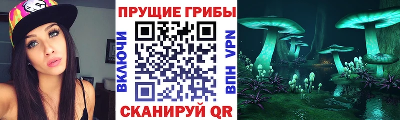 Галлюциногенные грибы мицелий  Дагестанские Огни 