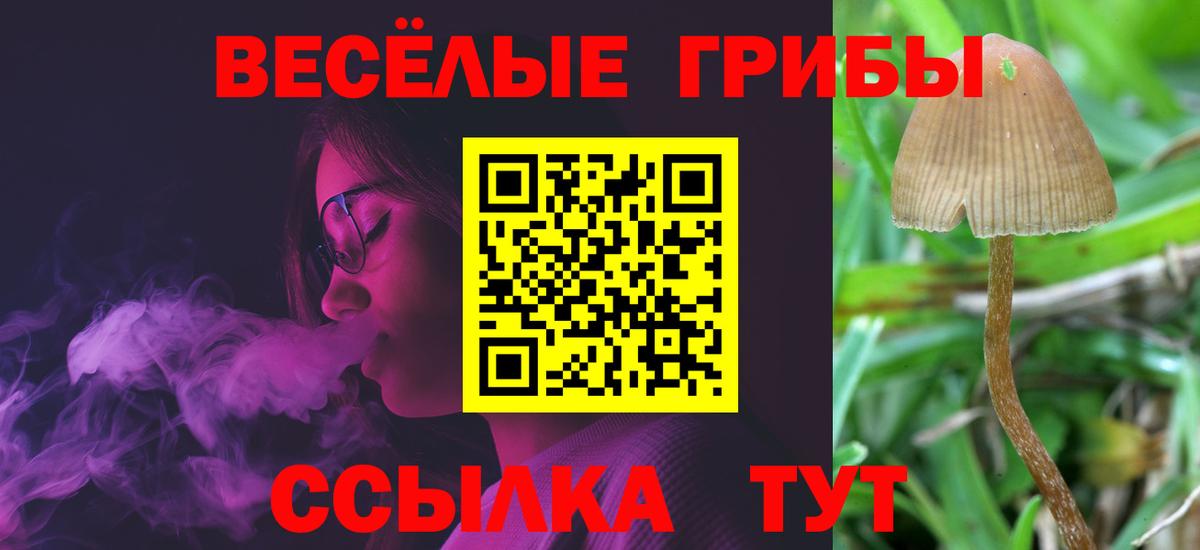 Галлюциногенные грибы прущие грибы  Вход с VPN  Дагестанские Огни 